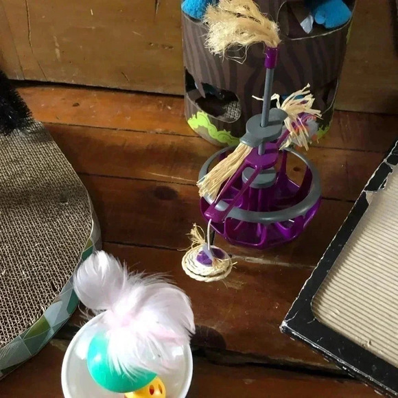 HOST PICK! Bundle of Cat Toys - Picture 4 of 9